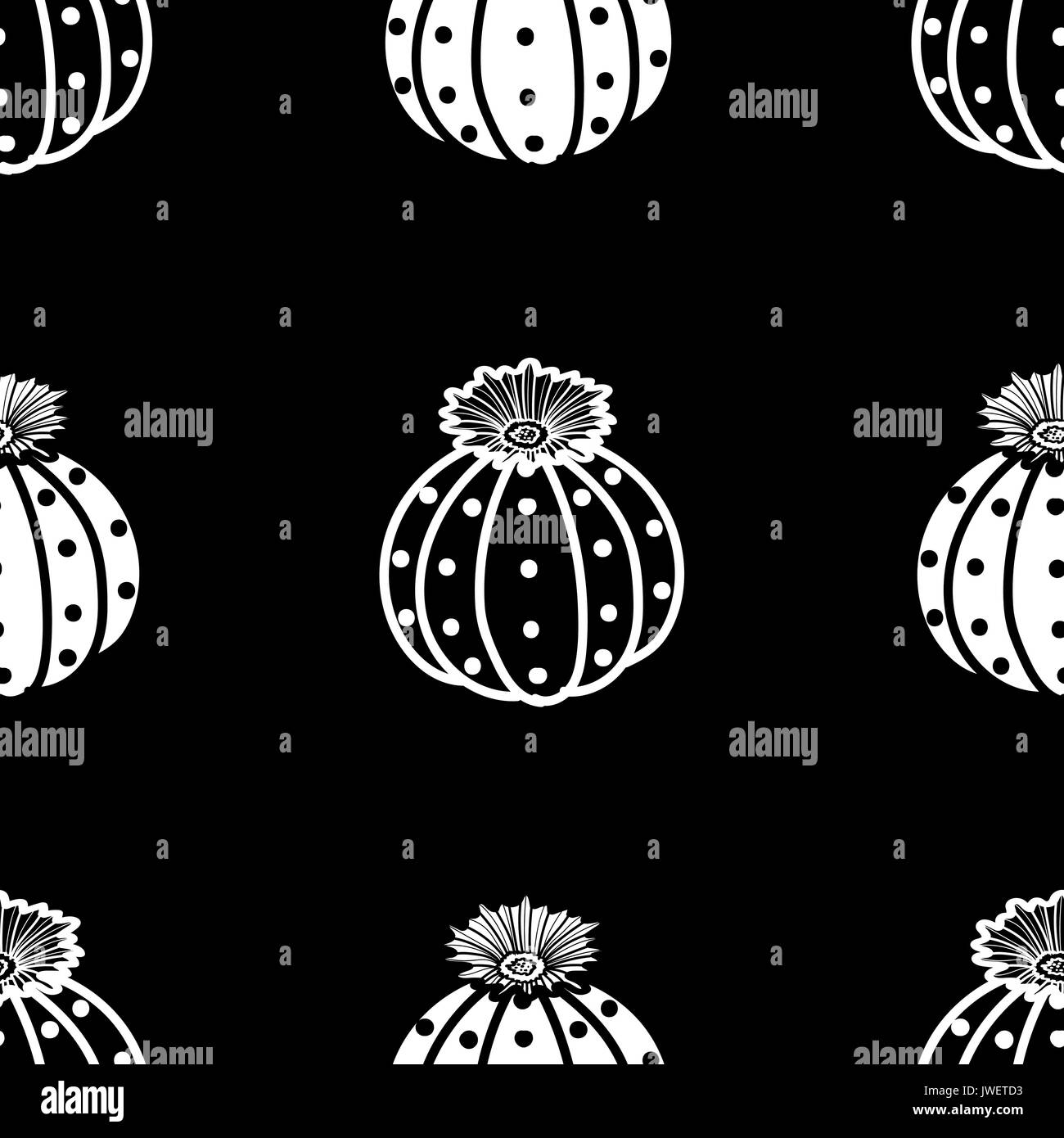 Contour blanc & noir avion plantes grasses et cactées avion blanc sur fond noir. hand drawn seamless pattern style. vector illustration. Illustration de Vecteur