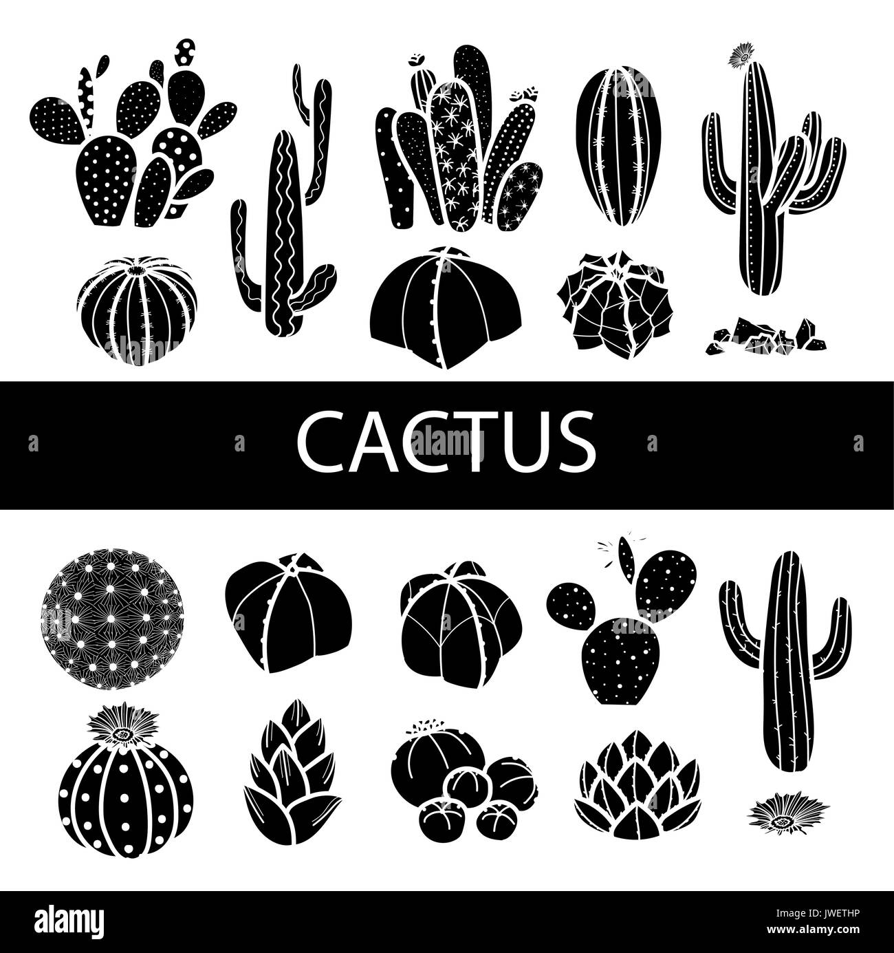Ensemble de cactus et succulentes silhouette isolée. hand drawn style. vector illustration. Illustration de Vecteur