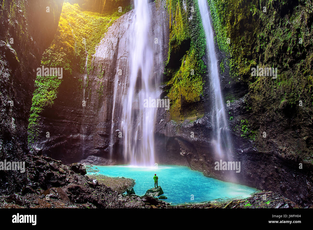 Madakaripura Cascade est la plus haute cascade dans Java et la deuxième plus haute cascade dans l'Indonésie. Banque D'Images