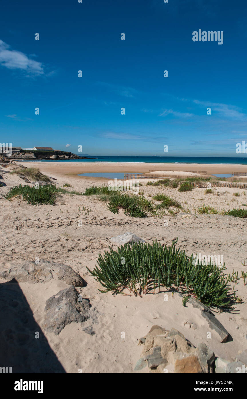 Espagne : vue sur la plage Playa de los Lances, la plus grande plage de Tarifa, ville sur la côte face à l'extrême sud du détroit de Gibraltar et le Maroc Banque D'Images