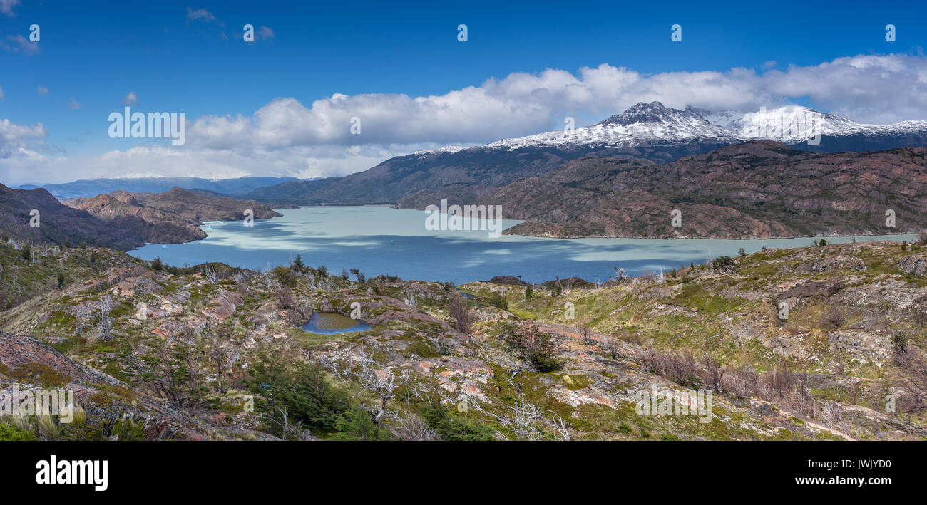 Beau lac Grey dans le sud de la patagonie Banque D'Images