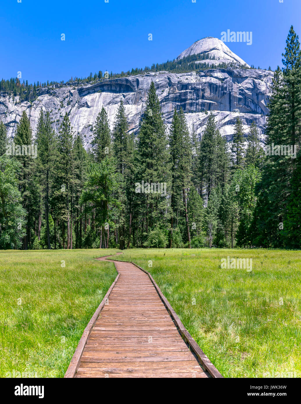 Renforcement en bois dans les prés du chemin de Yosémite. Ce chemin vous transporte sur la prairie où il y a beaucoup d'eau stagnante Banque D'Images