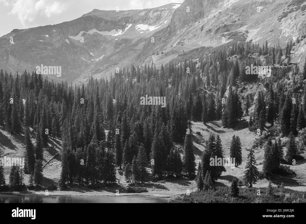 Merveilleux paysage alpin (B&W) Banque D'Images