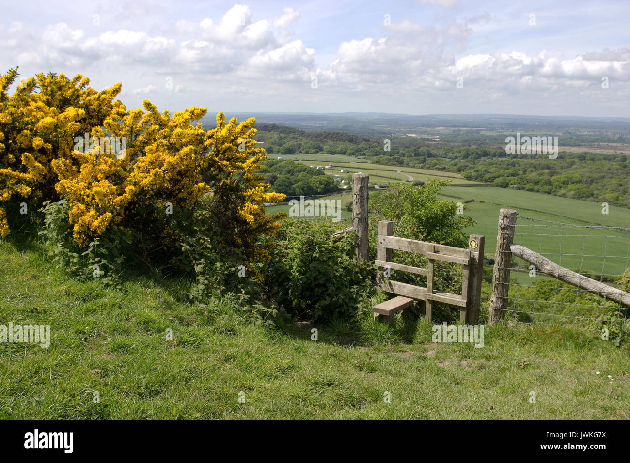 Marche sur Knowle Hill East Creech Dorset Angleterre Banque D'Images