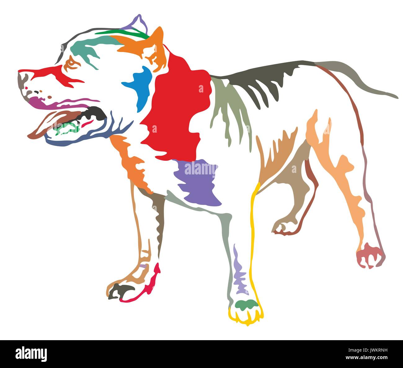 Portrait décoratives colorées de l'article profil de bull-terrier américain de mine, vector illustration isolé sur fond blanc Illustration de Vecteur