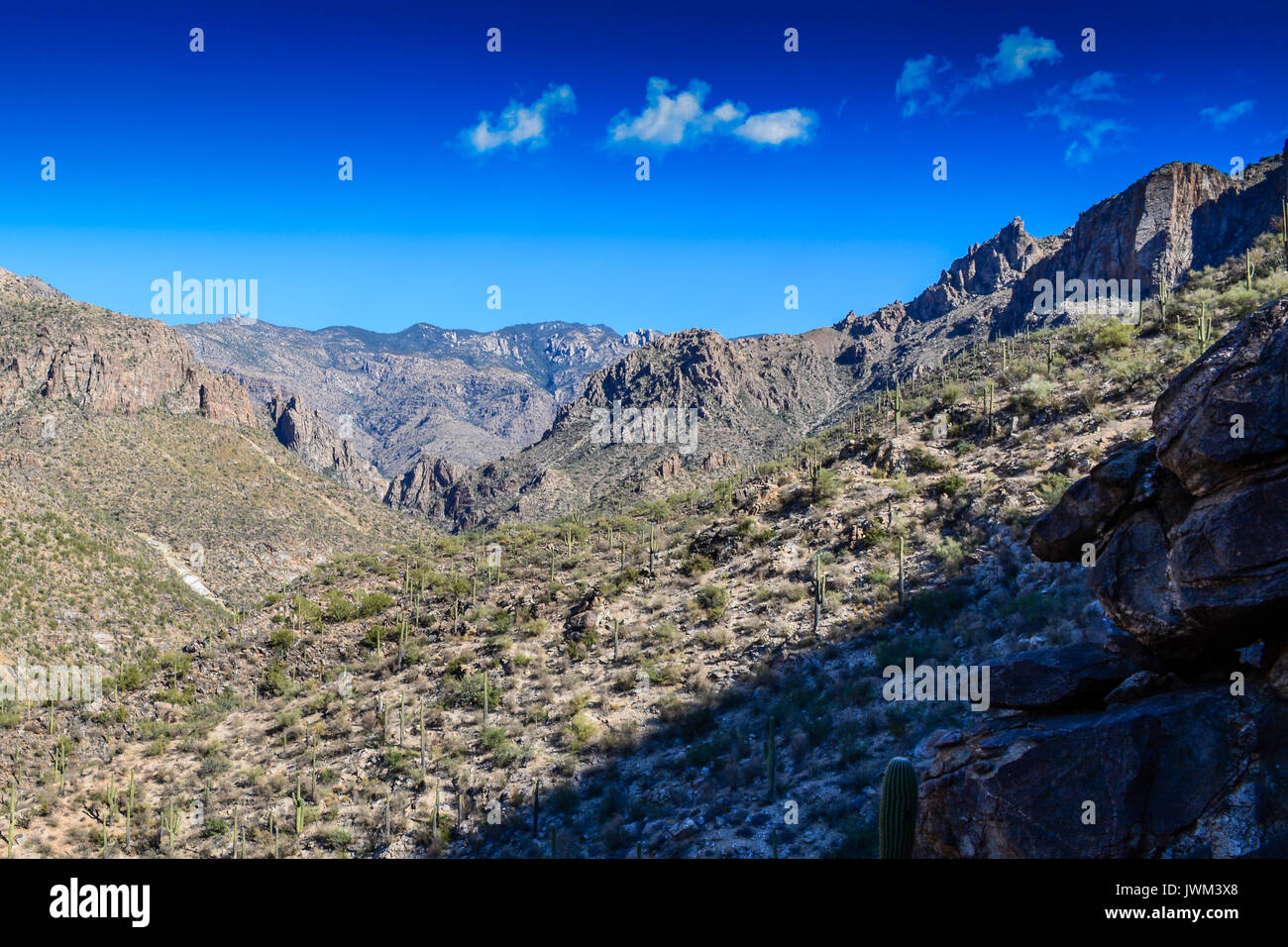 Sabino Canyon, Arizona, USA - Sentiers de randonnée Banque D'Images