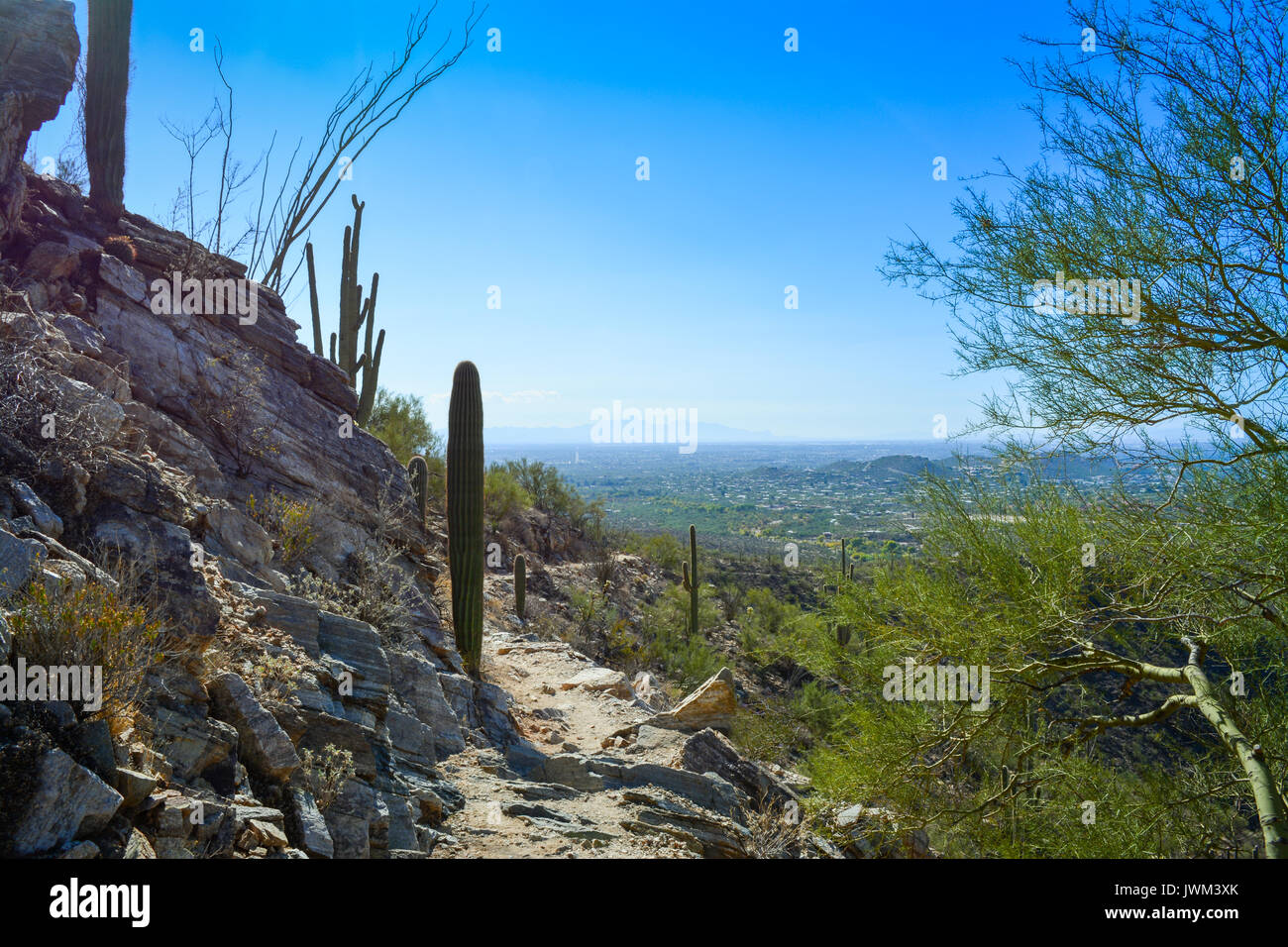 Sabino Canyon, Arizona, USA - Sentiers de randonnée Banque D'Images