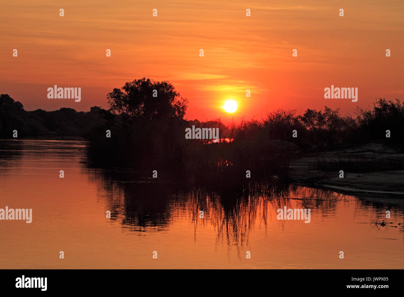 Coucher du soleil avec silhouetté arbres se reflétant dans l'eau, le fleuve Zambèze, Namibie Banque D'Images