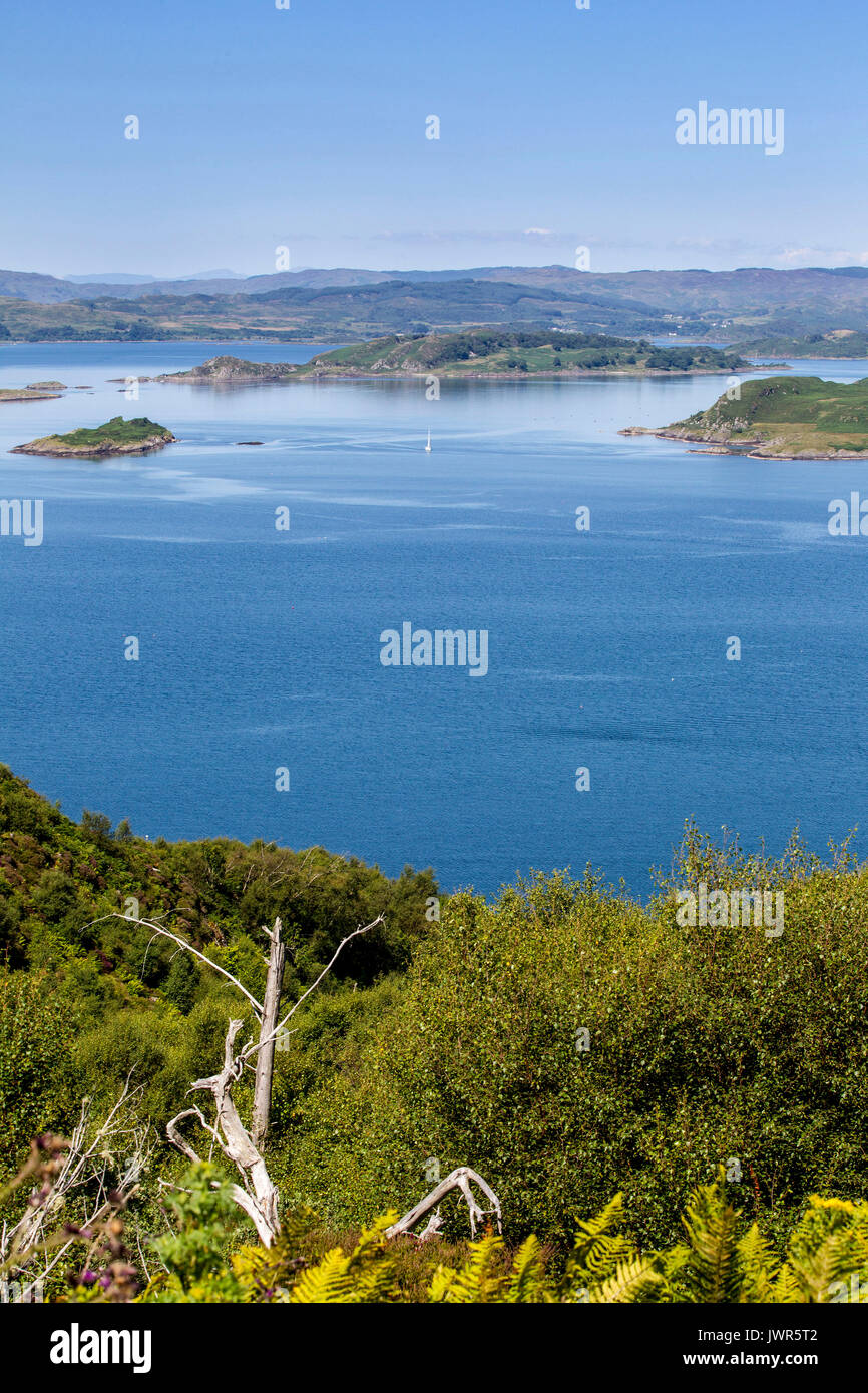 Vue depuis la forêt sur sea loch crinan Banque D'Images