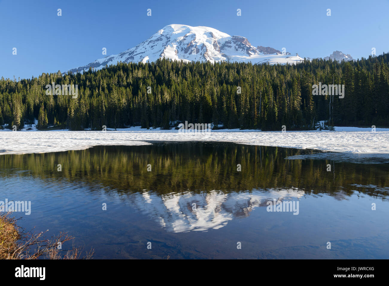 MT Rainier Banque D'Images