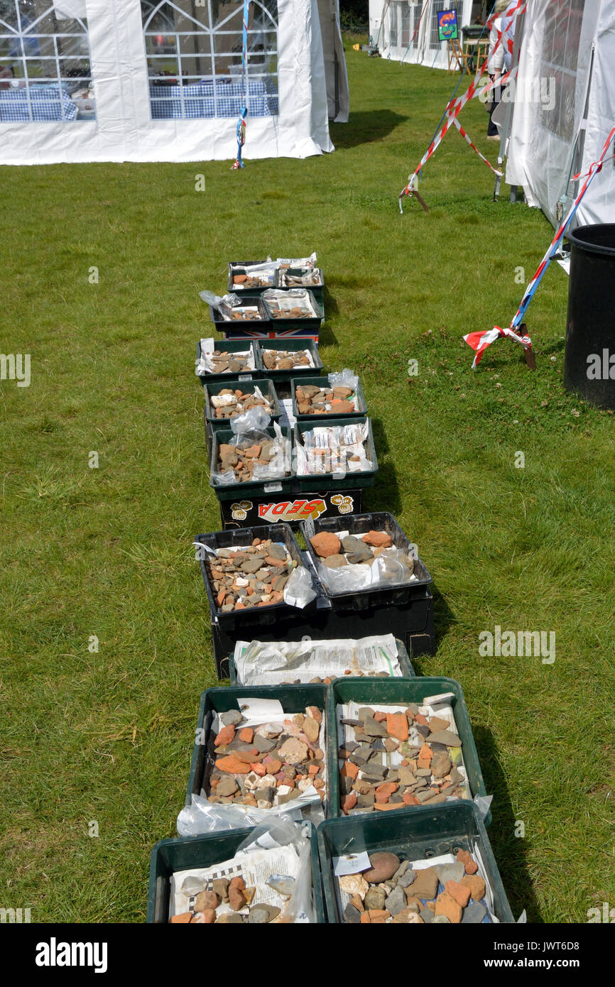 2017 Projet Romain Aylsham - caisses de fragments de poterie de sécher Banque D'Images