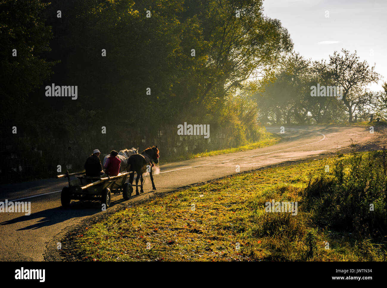 Volovets, Ukraine - 30 SEP 2016 : famille gitane monter un cheval panier uphill la serpentine en campagne. Décoration en Carpathie lever du soleil brumeux d'automne Banque D'Images