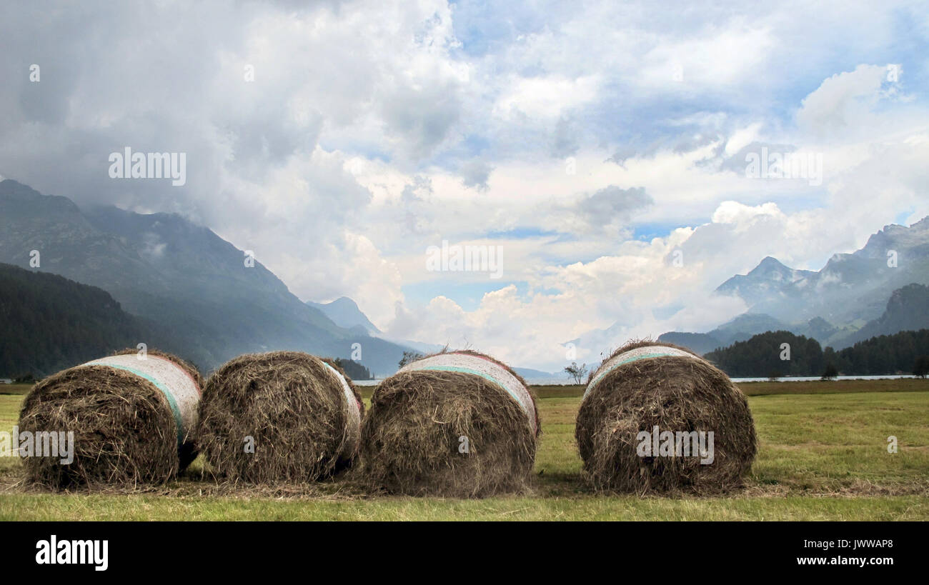 rencontres agriculteurs suisse