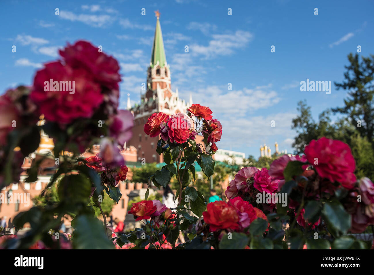 Beijing, Chine. 19 juillet, 2017. Photo prise le 19 juillet 2017 montre des fleurs fleurs en face du Palais du Kremlin à Moscou, Russie. Credit : Wu Zhuang/Xinhua/Alamy Live News Banque D'Images
