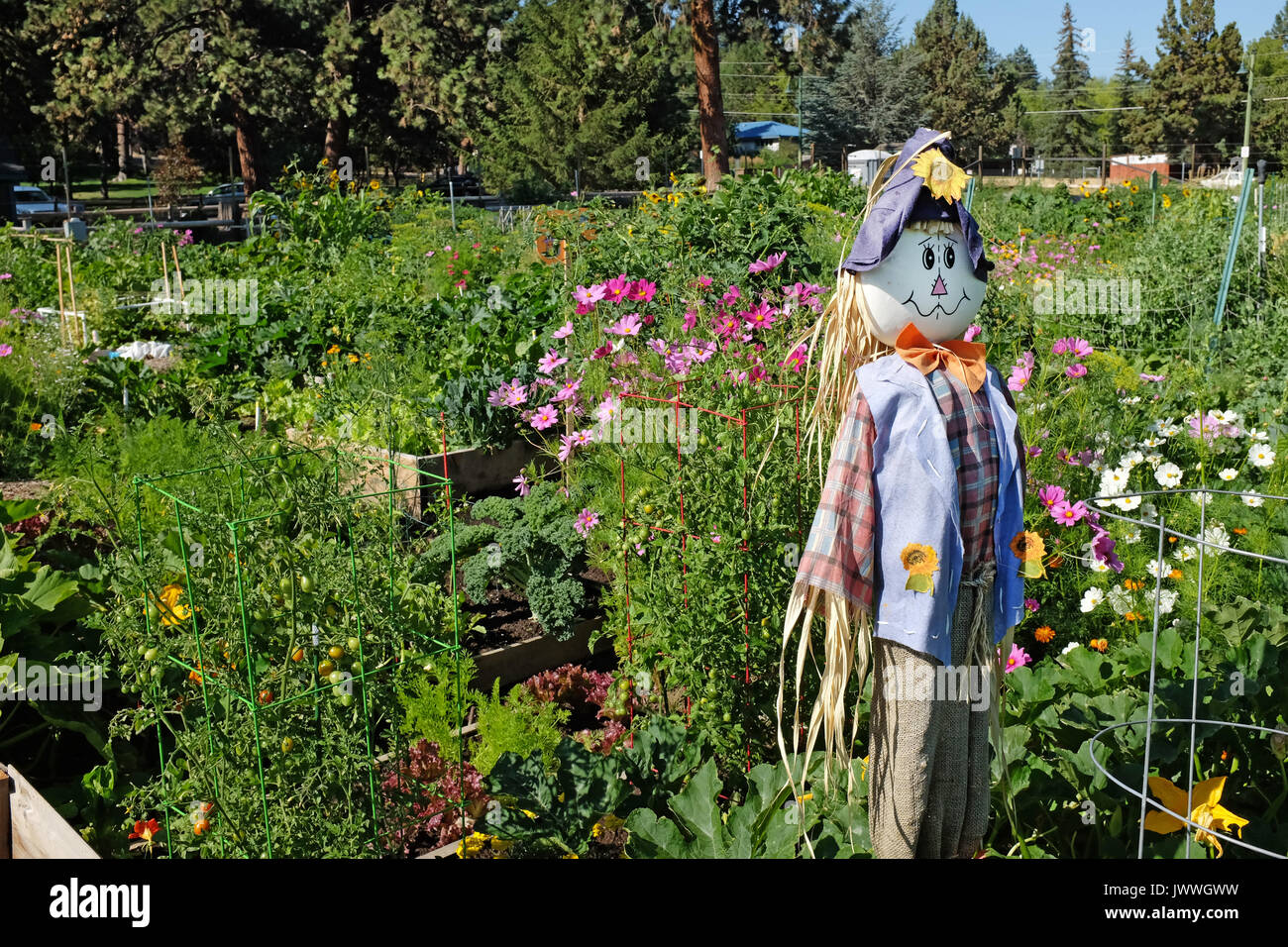 Jardin communautaire, Bend, Oregon Banque D'Images