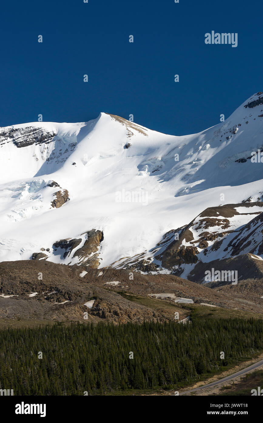 Le champ de glace Columbia avec le glacier Athabasca et montagnes couvertes de neige sur la promenade des Glaciers du parc national Banff Alberta Canada Banque D'Images