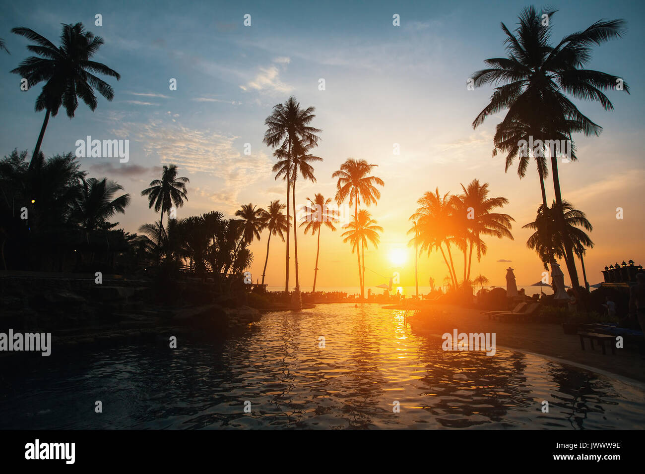 Silhouettes de palmiers sur une plage tropicale pendant le coucher du soleil. Banque D'Images