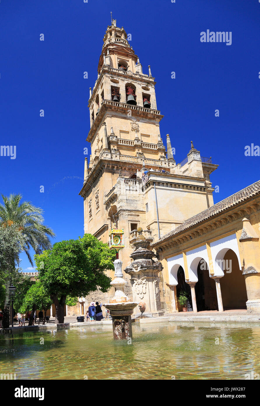 Cordoue, Espagne - 30 juin 2017 : jardin intérieur et clocher de la Cathédrale de Cordoue. Banque D'Images