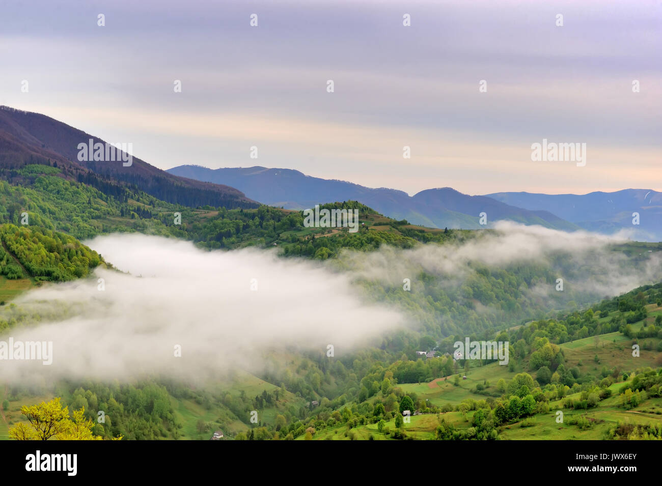 Paysage montagneux avec le brouillard dans matin d'été Banque D'Images