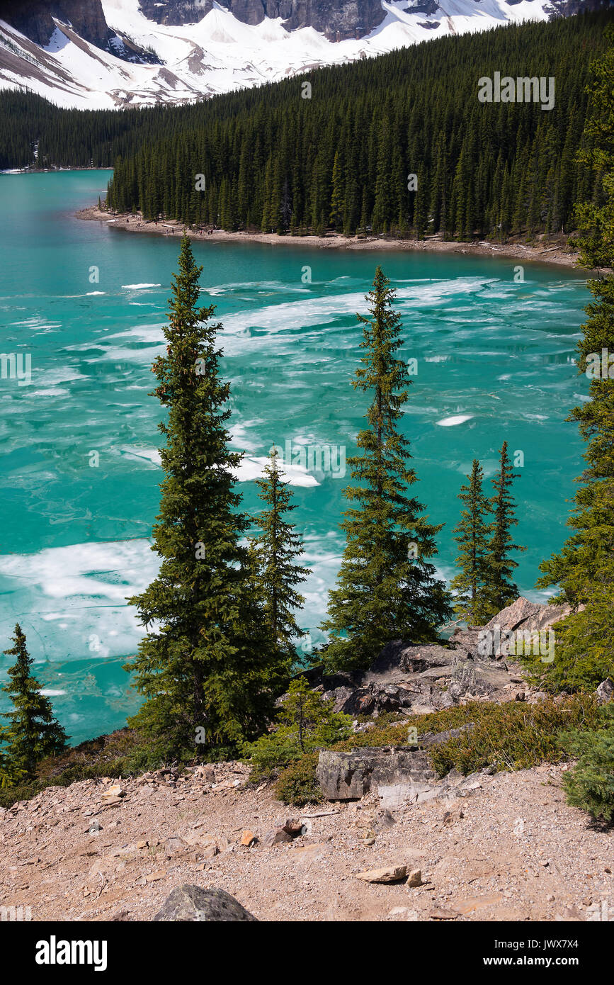 Les magnifiques eaux vert de Lac Moraine, dans le parc national Banff Canadian Rockies Alberta Canada Banque D'Images