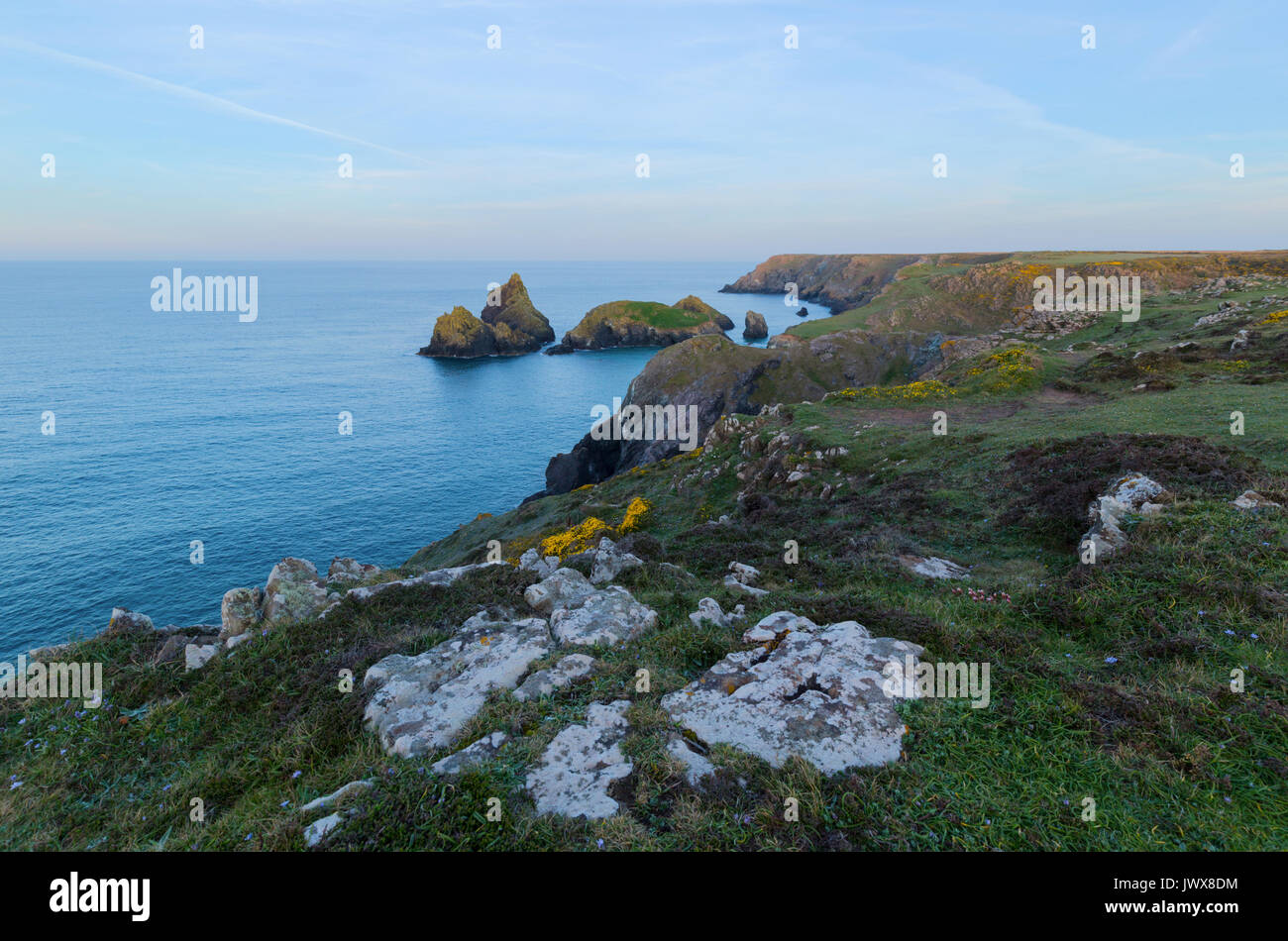 Aube lumière plus de Kynance Cove à Cornwall Banque D'Images