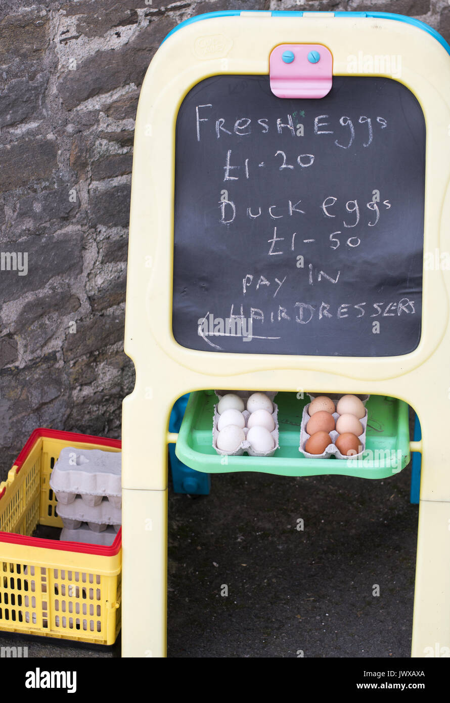 Des œufs frais à la vente, Leyburn, Wensleydale, North Yorkshire, England, UK Banque D'Images