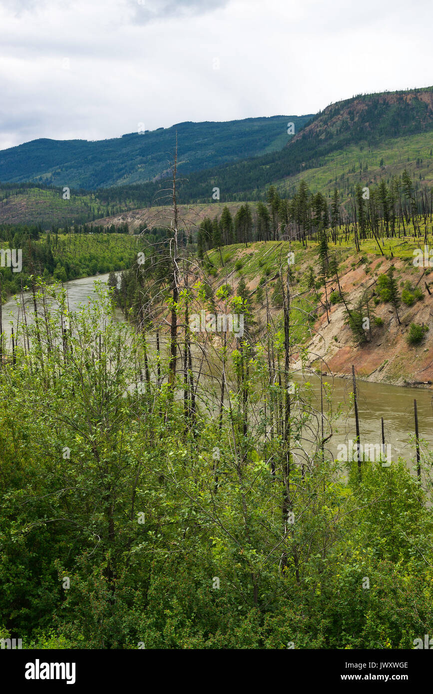 La rivière Thompson qui passent par le feu des bois endommagé près de Kamloops en Colombie-Britannique, Canada Banque D'Images