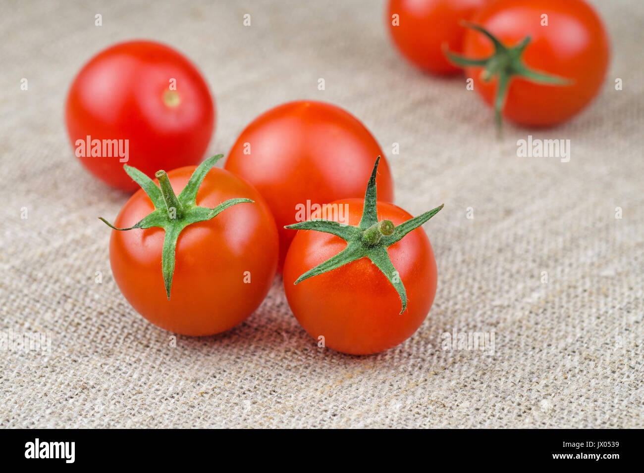 Tomates cerises fraîches mûres sur tissu grossier ou Fond d'ensachage Banque D'Images
