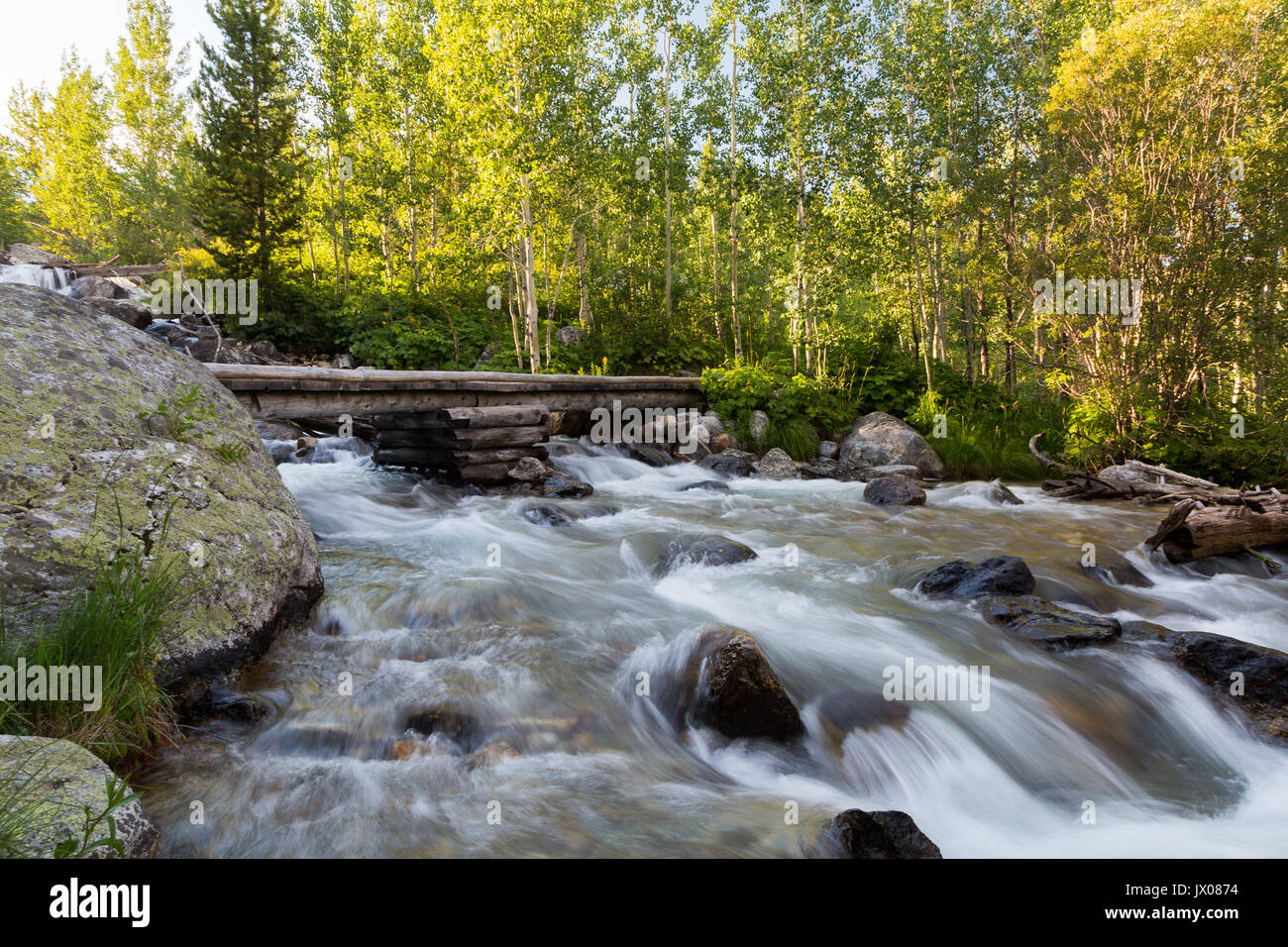 A Rushing creek passant sous une passerelle et tremble arbres le long du sentier du lac Taggart dans la région de Jackson Hole. Parc National de Grand Teton, Wyoming Banque D'Images
