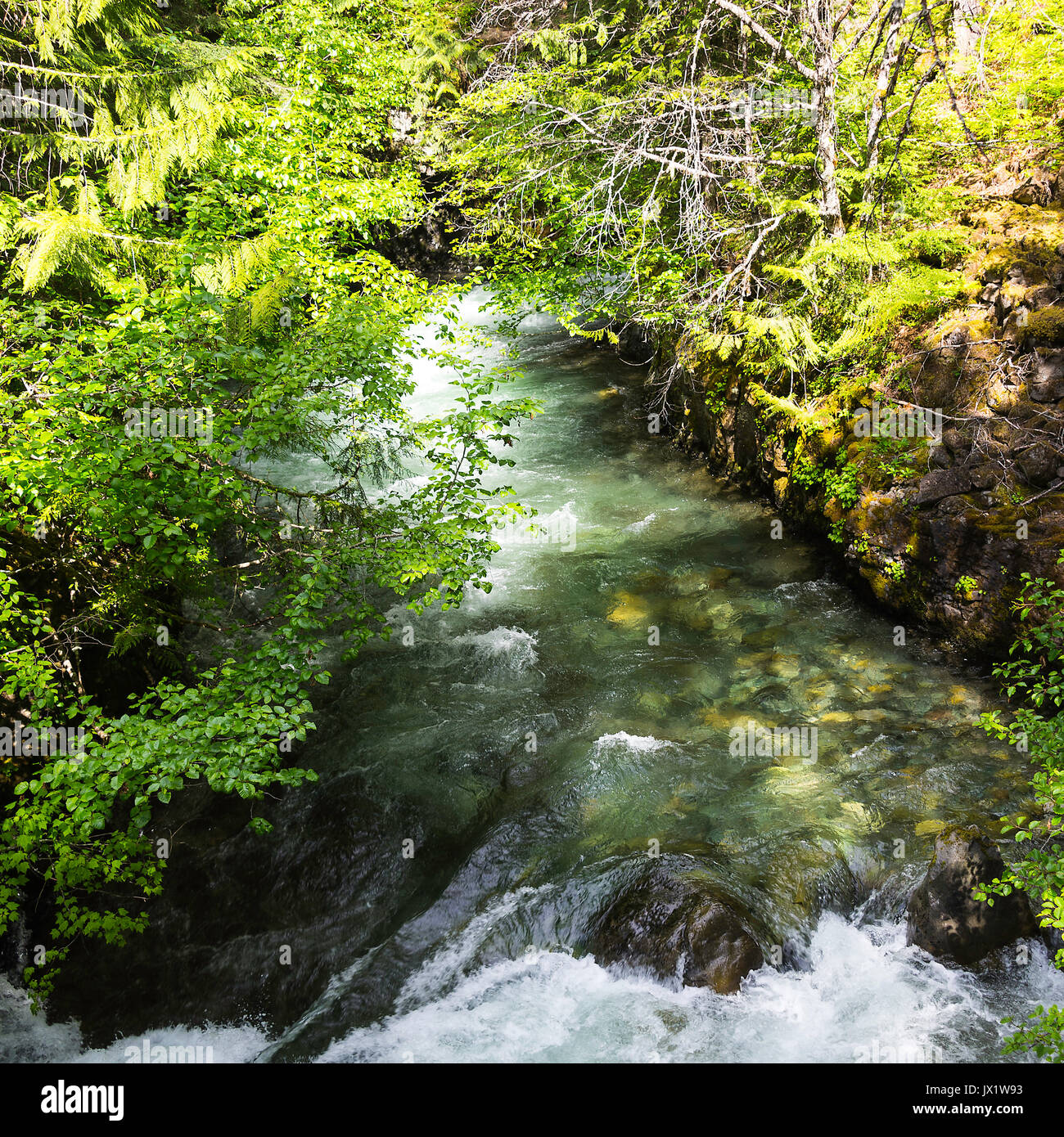 Les belles couleurs de Cheakamus rivière qui coule à travers le parc provincial Brandywine près de Whistler British Columbia Canada Banque D'Images