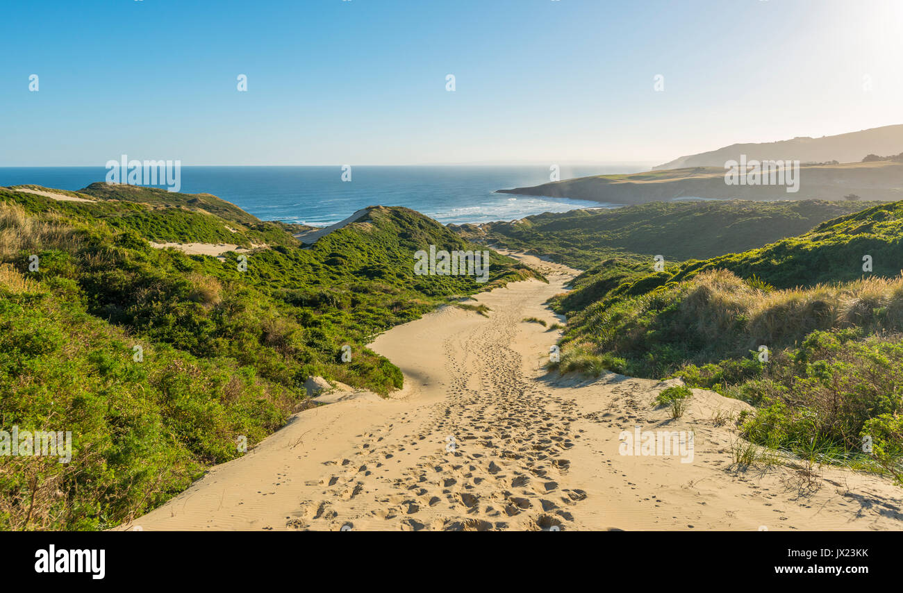 Paysage côtier avec des dunes de sable, la baie de phlébotome, Otago, île du Sud, Nouvelle-Zélande Banque D'Images