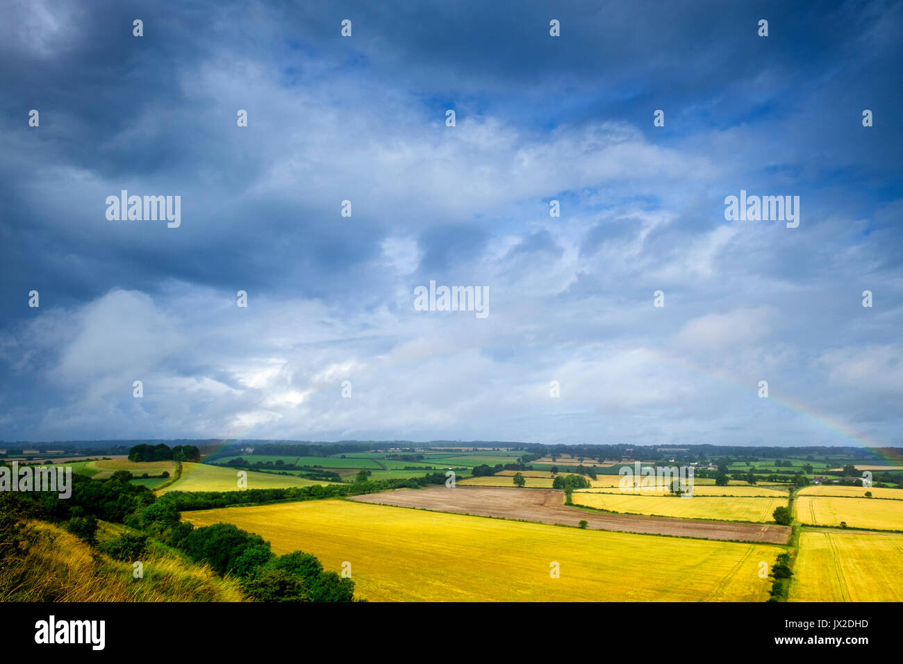 Vista vu à partir de la feuille blanche en juillet. Près de Zeals et simple dans le sud-ouest de Wiltshire. Banque D'Images