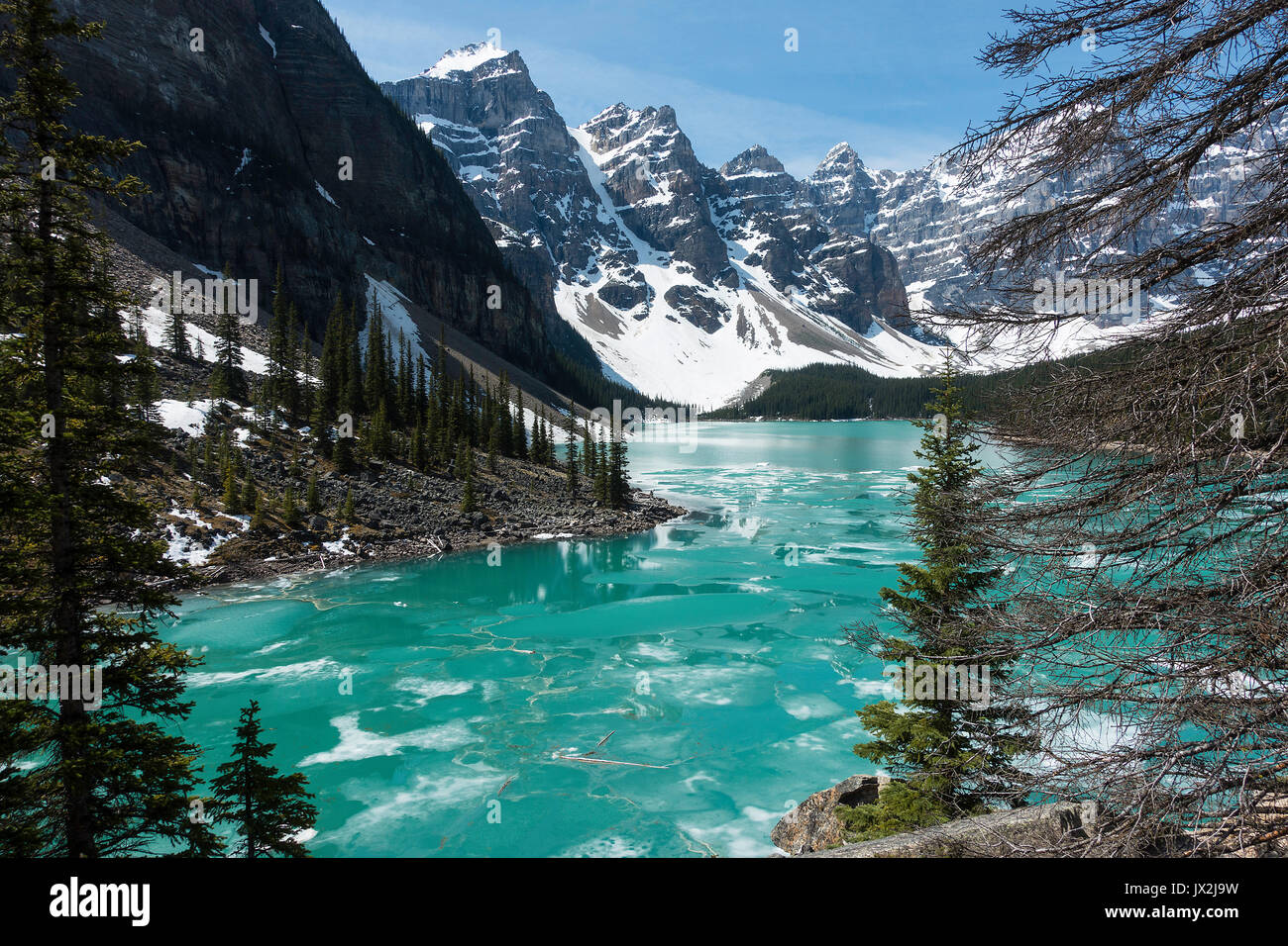 Les magnifiques eaux vert de Lac Moraine, dans le parc national Banff Canadian Rockies Alberta Canada Banque D'Images