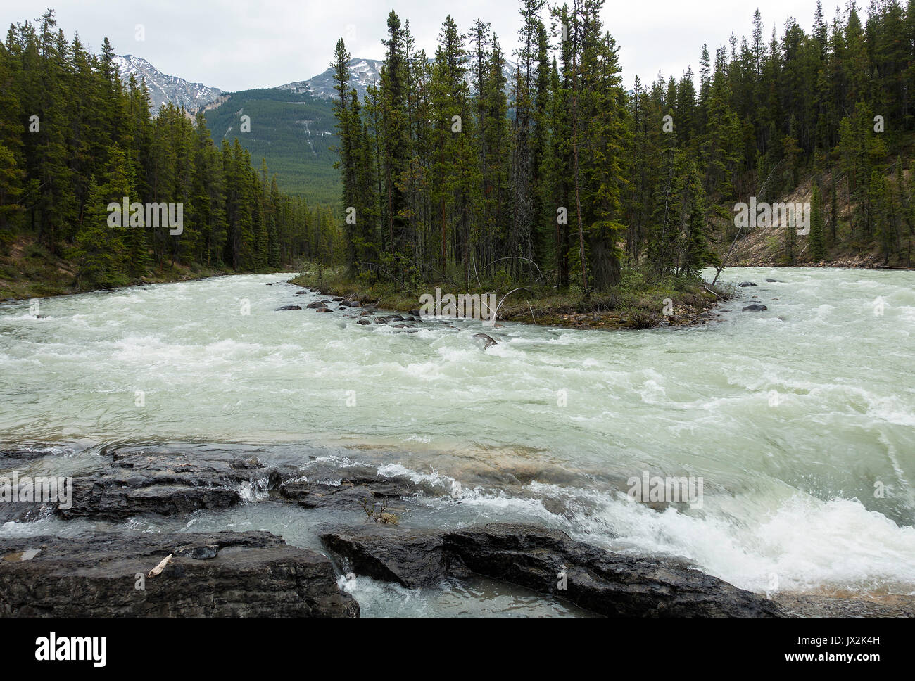 Les belles chutes Sunwapta, sur la Promenade des glaciers dans le Parc National Jasper Alberta Canada Banque D'Images