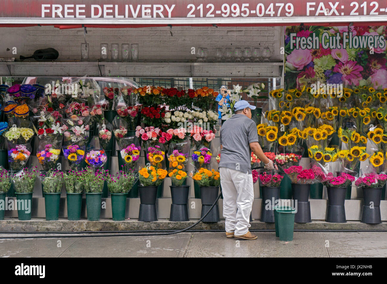 Un travailleur à une bodega sur la 2e Avenue à Greenwich Village les eaux des fleurs fraîches qui sont en vente. New York City Banque D'Images