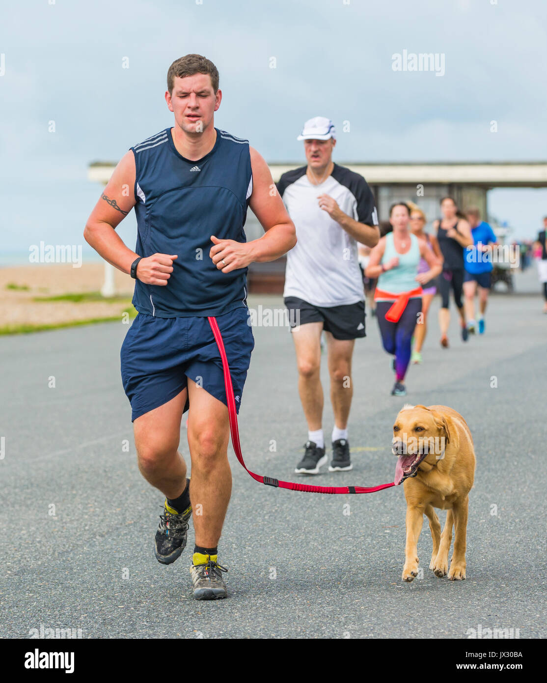 Runner avec un chien sur la vitalité de l'événement hebdomadaire Parkrun à Worthing, West Sussex, Angleterre, Royaume-Uni. Banque D'Images