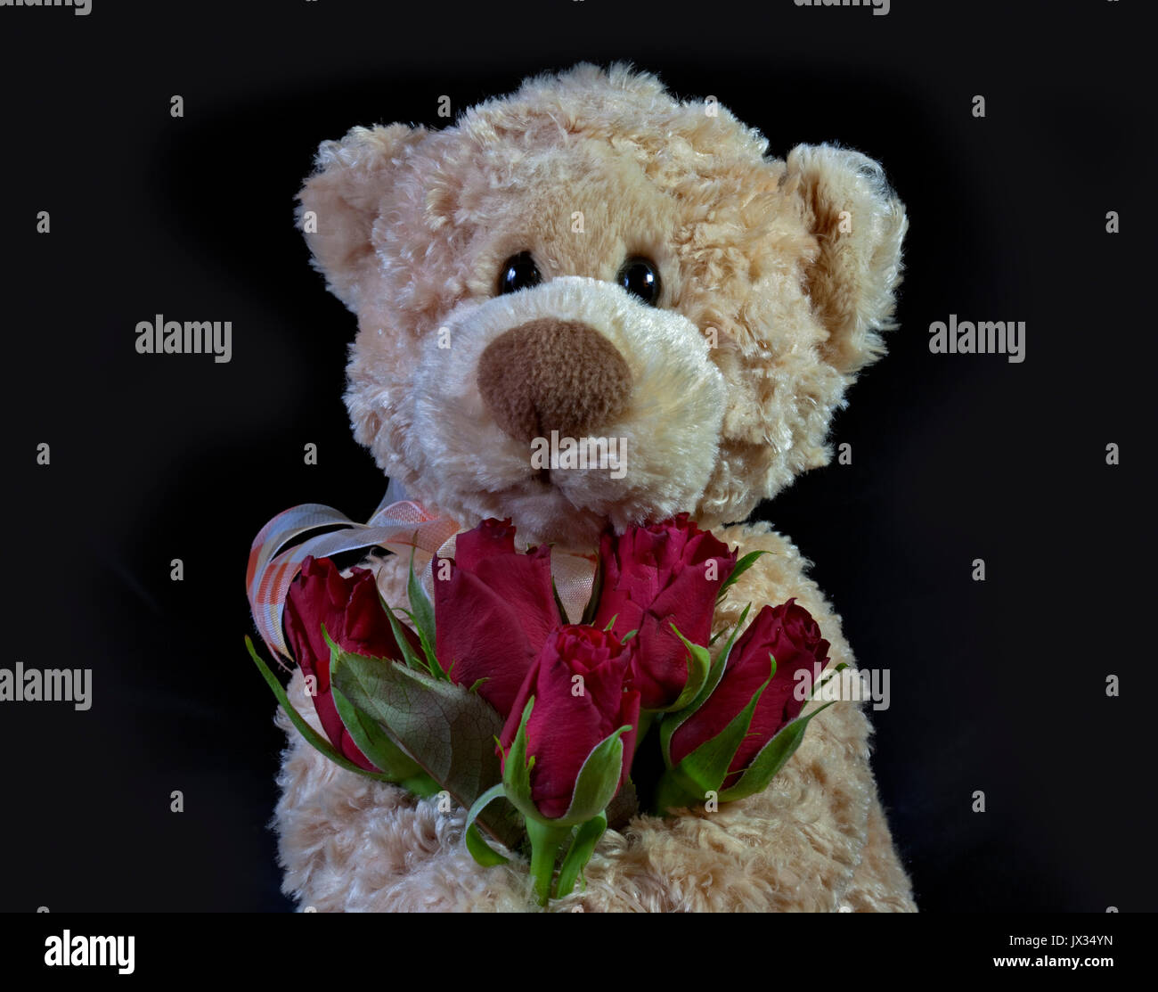 Gund Ours holding Roses Banque D'Images