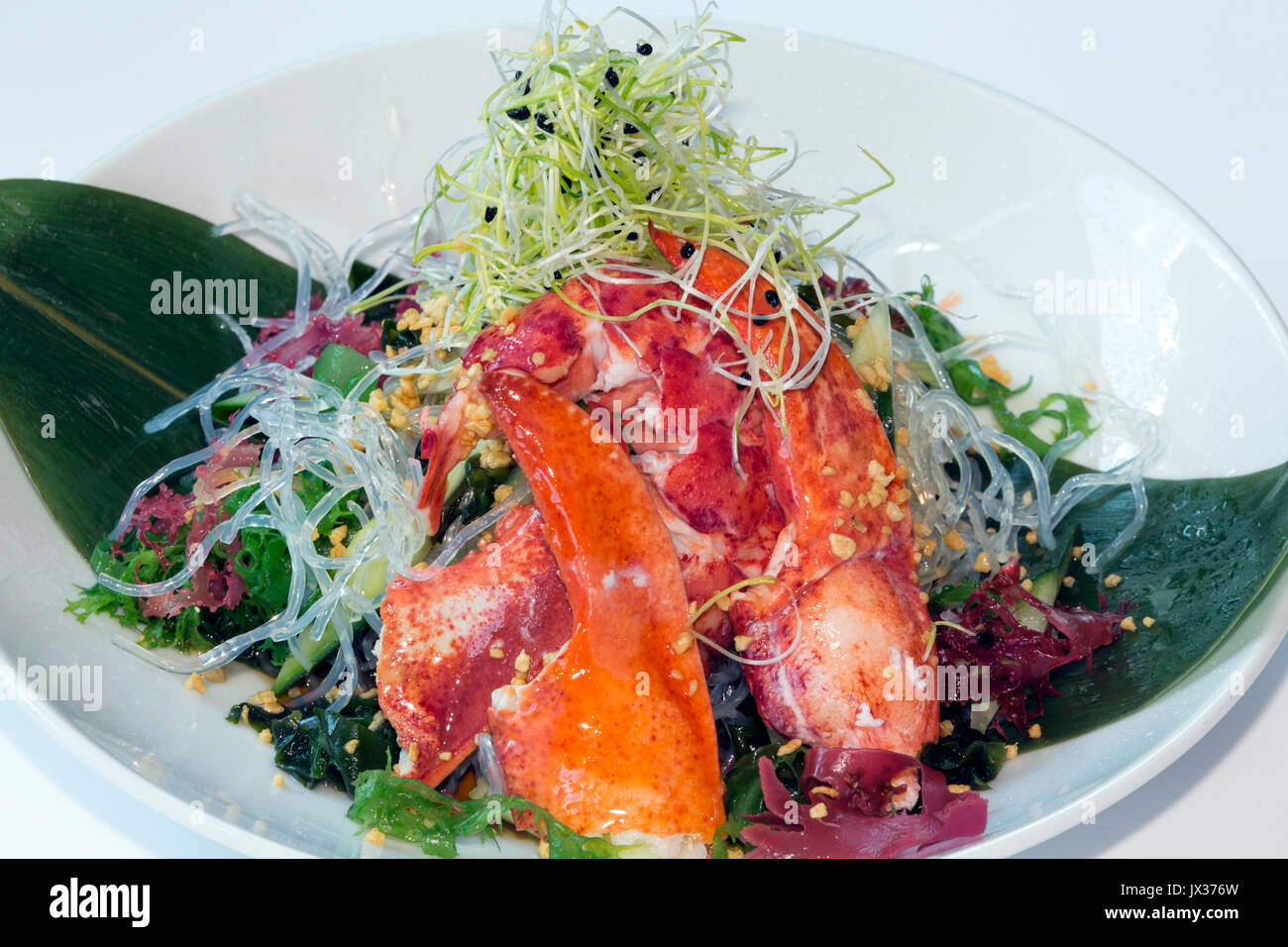 Varech , Homard et salade de nouilles Banque D'Images