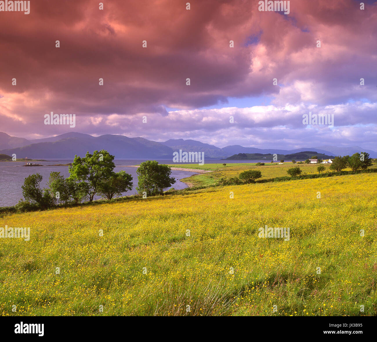 Scène colorée autour de Port Appin vers le Loch Linnhe et les collines d'Argyll, Morvern Banque D'Images