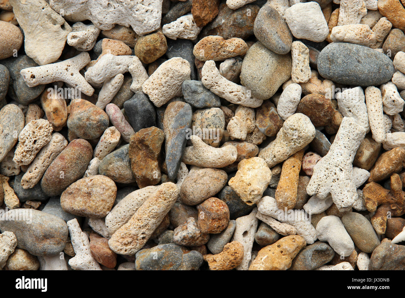 Coral Beach l'île de Tioman en Malaisie Banque D'Images