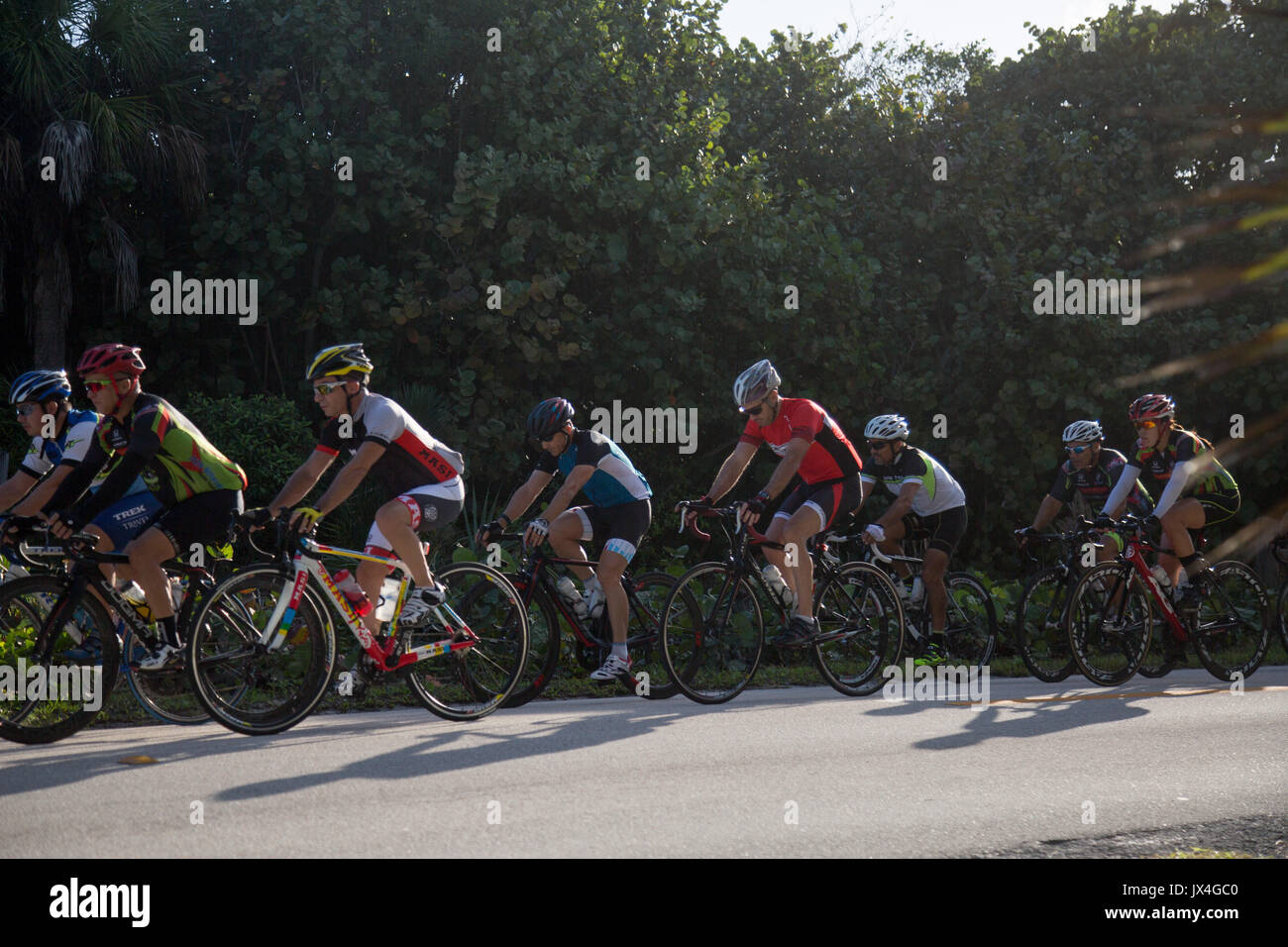 Les cyclistes équitation dans un groupe. Banque D'Images