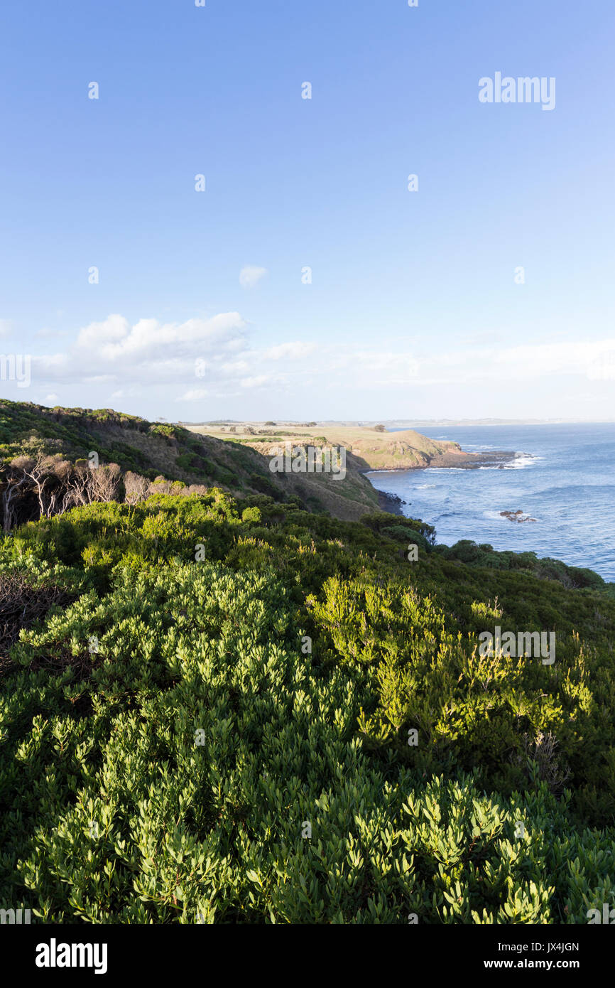 Des vues spectaculaires sur la côte et sur le détroit de Bass au Cap Woolamai réserve naturelle, Victoria, Australie Banque D'Images