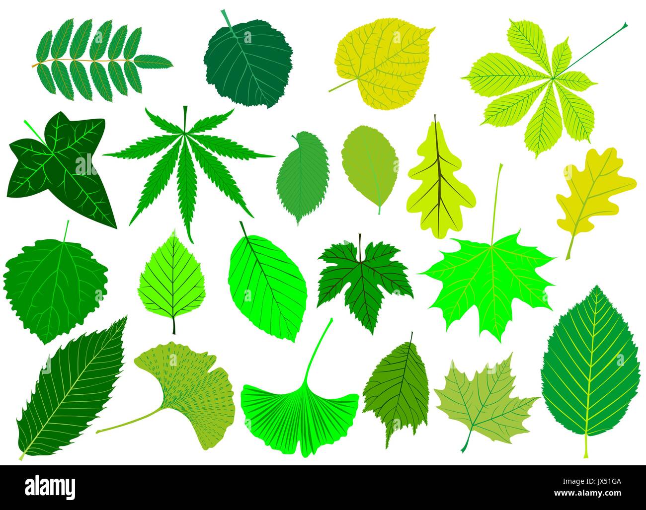 Les feuilles des arbres green set silhouettes,feuille, Illustration de Vecteur