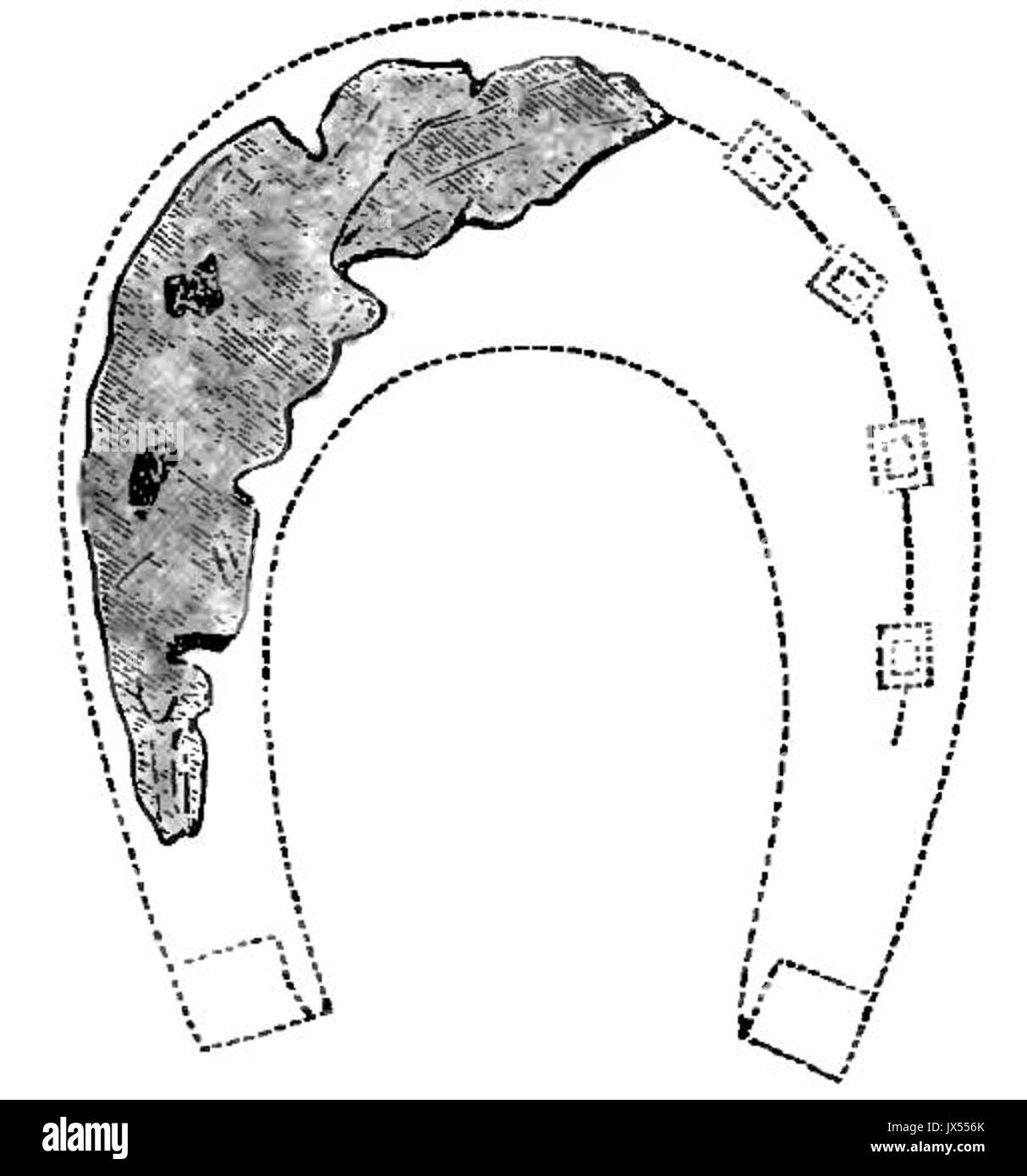 Chaussures Cheval Cheval et ferrage page126 Banque D'Images