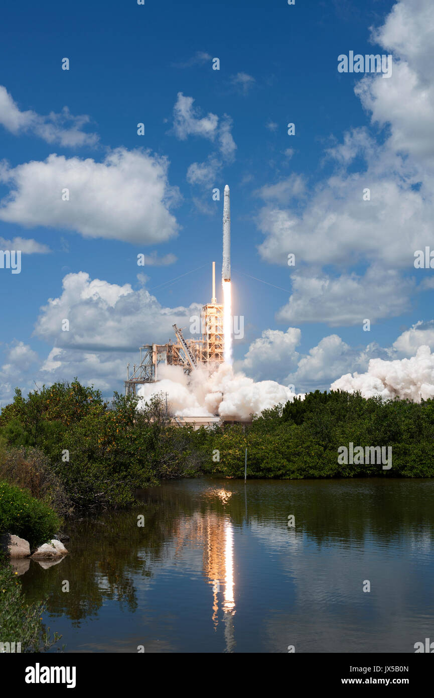 Cap Canaveral, Floride, USA. 14 août, 2017. Le SpaceX Falcon 9 fusée avec le dragon spacecraft décolle à bord du complexe de lancement 39A au Centre spatial Kennedy le 14 août 2017 à Cape Canaveral, en Floride. Dragon est sur la 12e mission de ravitaillement à l'aide de la fusée Falcon et exploite 6 400 livres de science research, de l'équipage et des fournitures du matériel à la Station spatiale internationale. Credit : Planetpix/Alamy Live News Banque D'Images