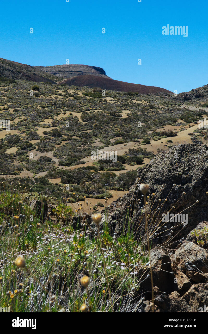 Le Parc National de Teide à Tenerife, Espagne Banque D'Images