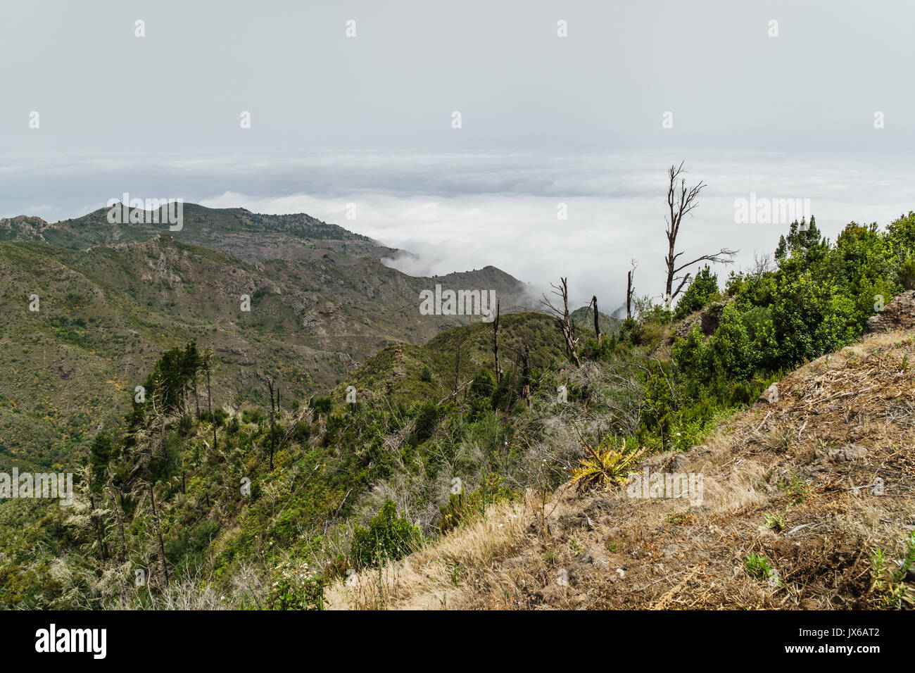 Vues sur un sentier de randonnée près de l'île de Tenerife Erjos sur au-dessus des nuages Banque D'Images