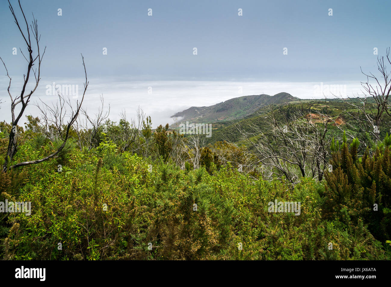 Vues sur un sentier de randonnée près de l'île de Tenerife Erjos sur au-dessus des nuages Banque D'Images