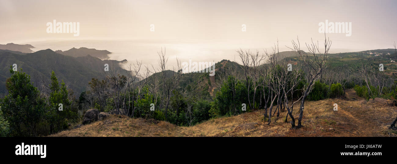 Vues sur un sentier de randonnée près de l'île de Tenerife Erjos sur au-dessus des nuages Banque D'Images