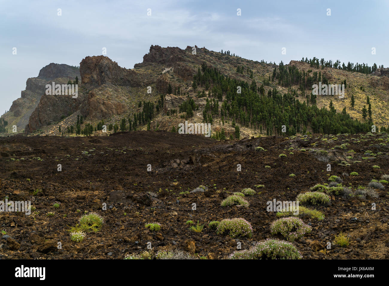 Le Parc National du Teide sur l'île de Tenerife en Espagne, avec une vue imprenable sur les champs de lave Banque D'Images